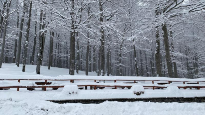 Con Le Ciaspole Lungo L Alta Via Dei Monti Liguri Dalle Casermette Del