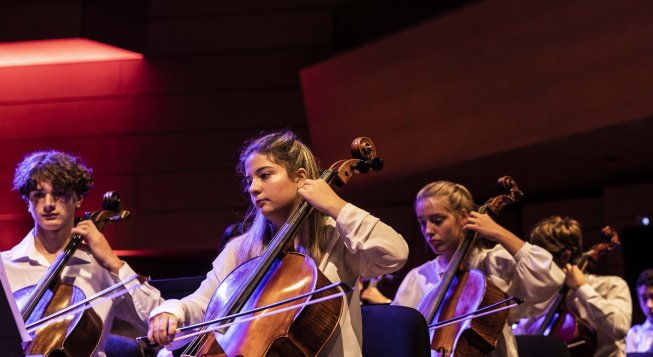 Balto Spettacolo Musicale Per Bambini I Piccoli Pomeriggi Musicali